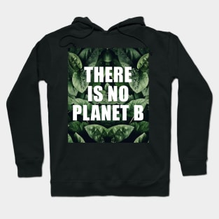 There is no planet b Hoodie